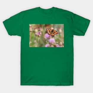 Small Tortoiseshell Butterfly resting in Sunshine T-Shirt